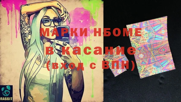 гидра Богородицк