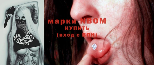 спиды Богородск