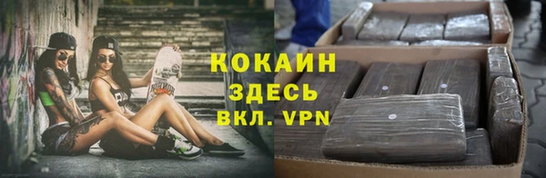 спиды Богородск