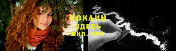 ешки Богданович