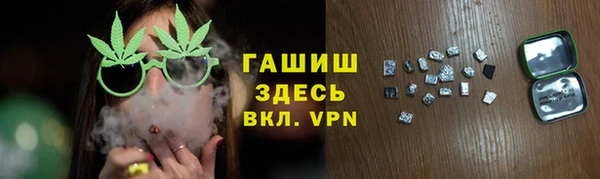 гидра Богородицк