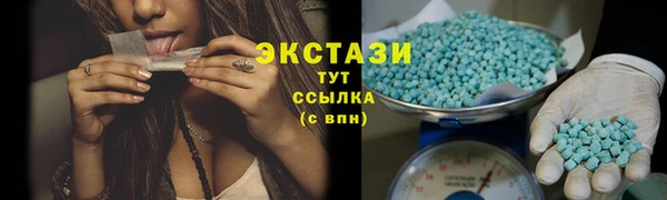 гидра Богородицк