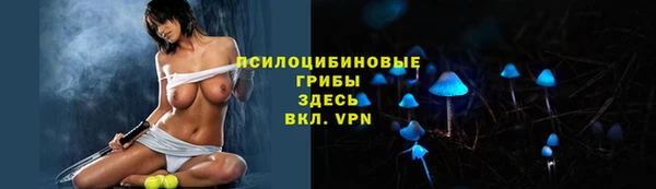спиды Богородск