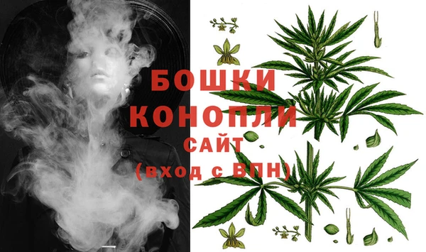 ешки Богданович
