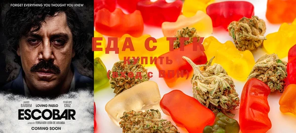 гидра Богородицк