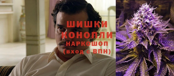 гидра Богородицк