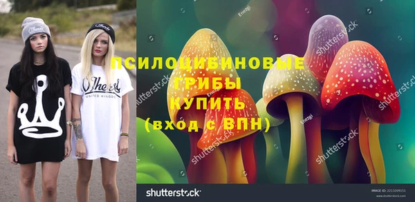 ешки Богданович
