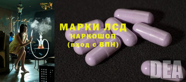 гидра Богородицк